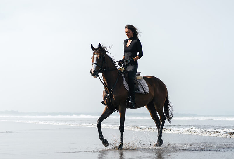 Катание на лошадях на Пхукете 1