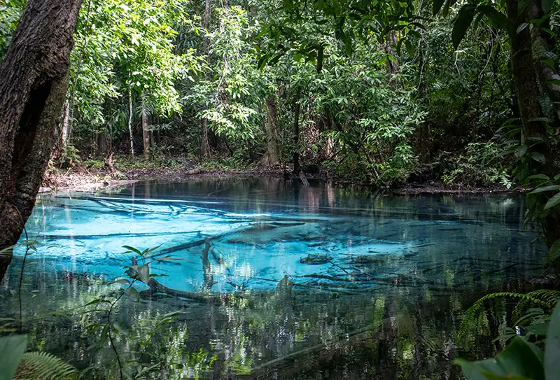 Экскурсия в Краби из Пхукета и Као Лак 1