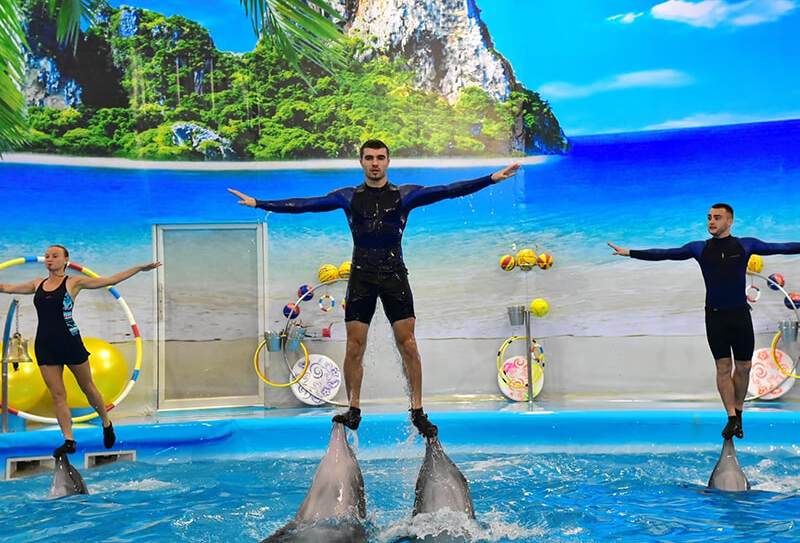 Дельфинарий «Немо» на Пхукете 1