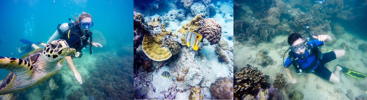  Дайвинг на Пхукете